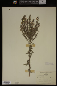 Image Associated With the Occurrence