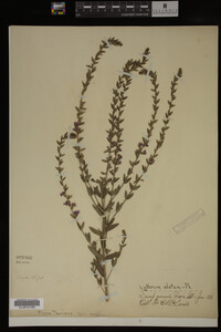 Image Associated With the Occurrence