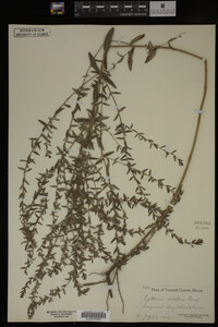 Image Associated With the Occurrence