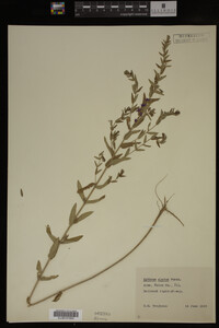 Image Associated With the Occurrence