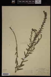 Image Associated With the Occurrence