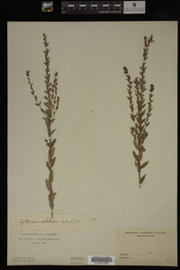 Image Associated With the Occurrence