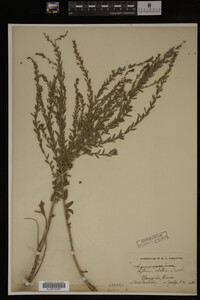 Image Associated With the Occurrence