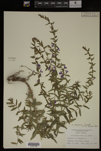 Image Associated With the Occurrence