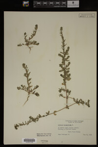 Image Associated With the Occurrence