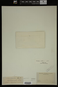 Image Associated With the Occurrence