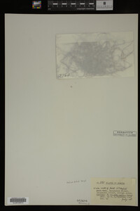 Image Associated With the Occurrence