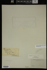 Image Associated With the Occurrence