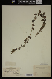 Image Associated With the Occurrence