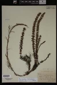 Image Associated With the Occurrence