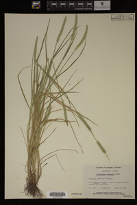 Image Associated With the Occurrence
