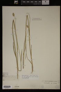 Image Associated With the Occurrence