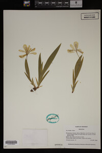 Image Associated With the Occurrence