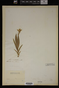 Image Associated With the Occurrence