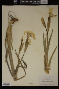 Image Associated With the Occurrence