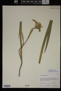 Image Associated With the Occurrence