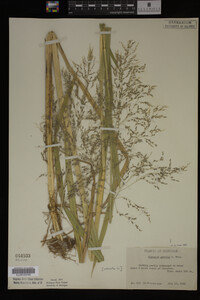 Image Associated With the Occurrence