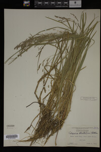 Image Associated With the Occurrence