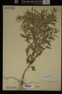 Image Associated With the Occurrence