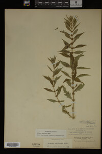 Image Associated With the Occurrence