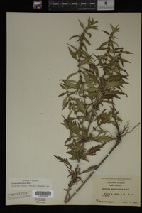 Image Associated With the Occurrence