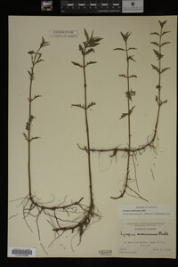 Image Associated With the Occurrence