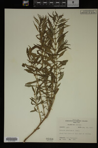 Image Associated With the Occurrence