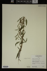 Image Associated With the Occurrence