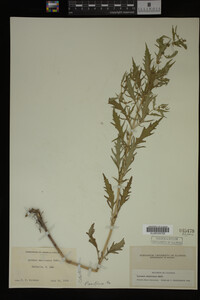 Image Associated With the Occurrence