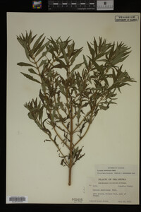 Image Associated With the Occurrence