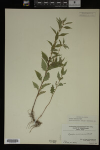 Image Associated With the Occurrence