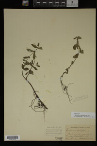 Image Associated With the Occurrence
