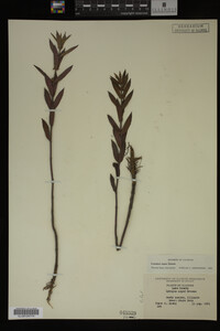 Image Associated With the Occurrence
