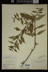Image Associated With the Occurrence