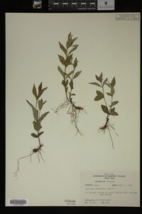 Image Associated With the Occurrence