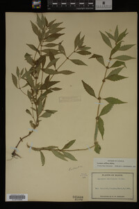 Image Associated With the Occurrence