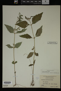 Image Associated With the Occurrence