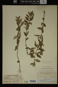 Image Associated With the Occurrence