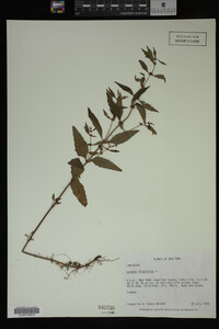 Image Associated With the Occurrence