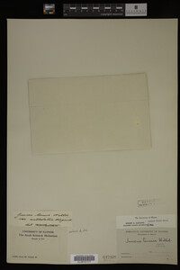 Image Associated With the Occurrence