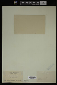 Image Associated With the Occurrence