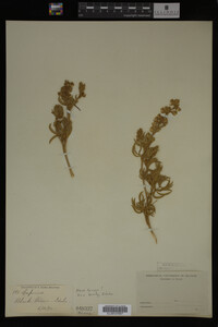 Image Associated With the Occurrence