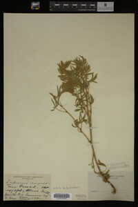 Image Associated With the Occurrence