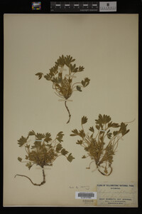 Image Associated With the Occurrence