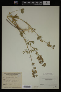 Image Associated With the Occurrence