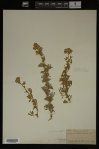 Image Associated With the Occurrence