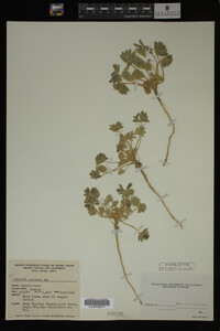 Image Associated With the Occurrence