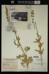 Image Associated With the Occurrence