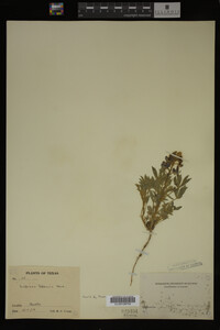 Image Associated With the Occurrence
