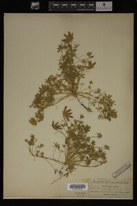 Image Associated With the Occurrence